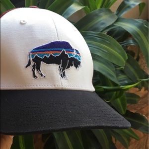 Patagonia Accessories - Patagonia hat. Patagonia Accessories - Patagonia hat.